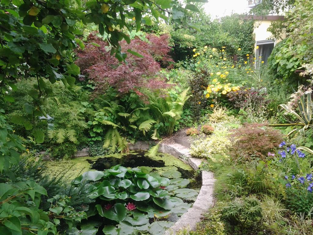 Gartenhaus Steffie Potsdam Eksteriør bilde